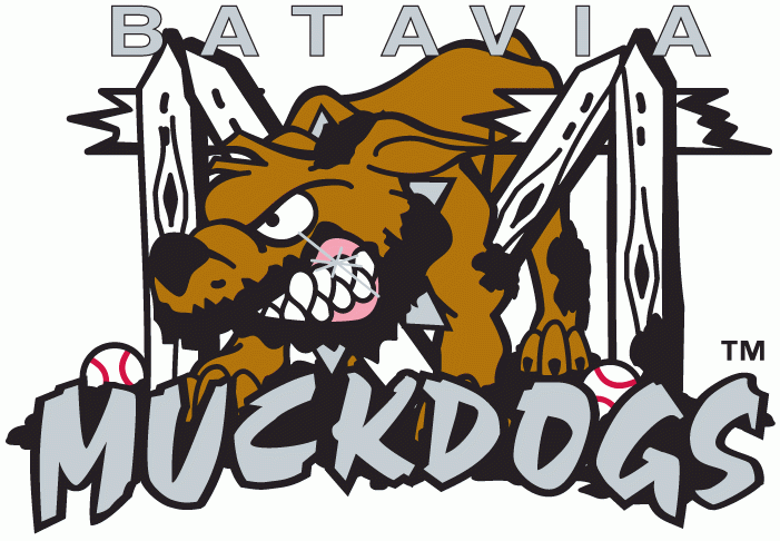 Batavia Muckdogs 1998-Pres Primary Logo iron on transfers for T-shirts
